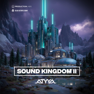 ATYYA - Sound Kingdom Volume 2