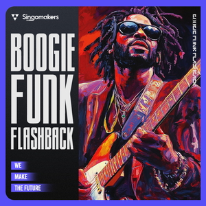 Boogie Funk Flashback