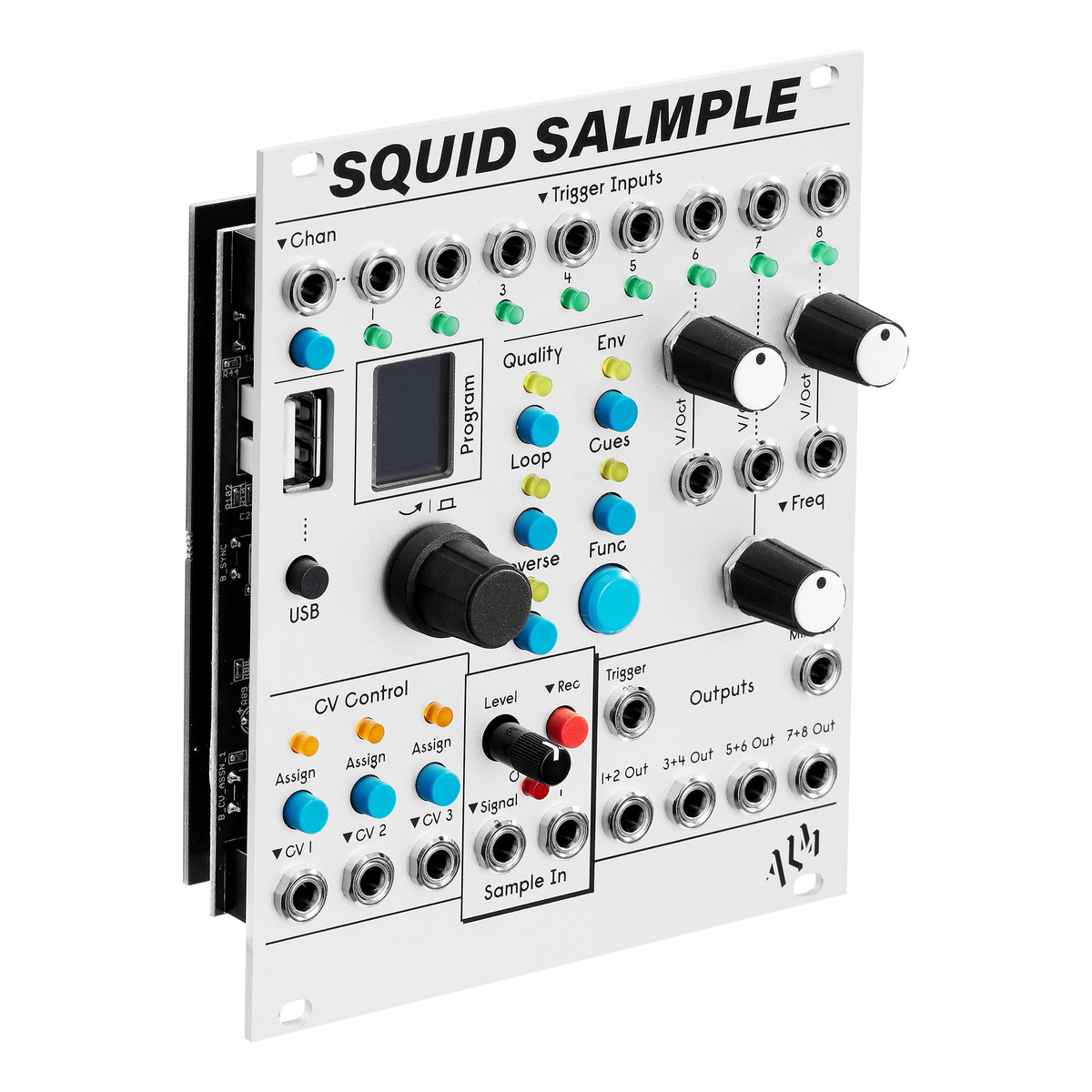 Squid Salmple