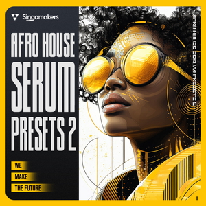 Afro House Serum Presets 2