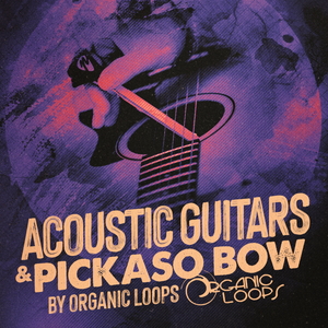 Acoustic Guitars & Pickaso Bow