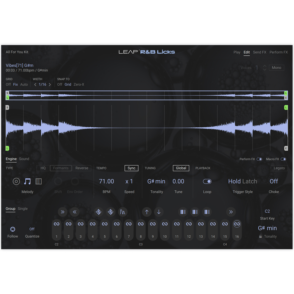 Leap Expansion - RnB Licks