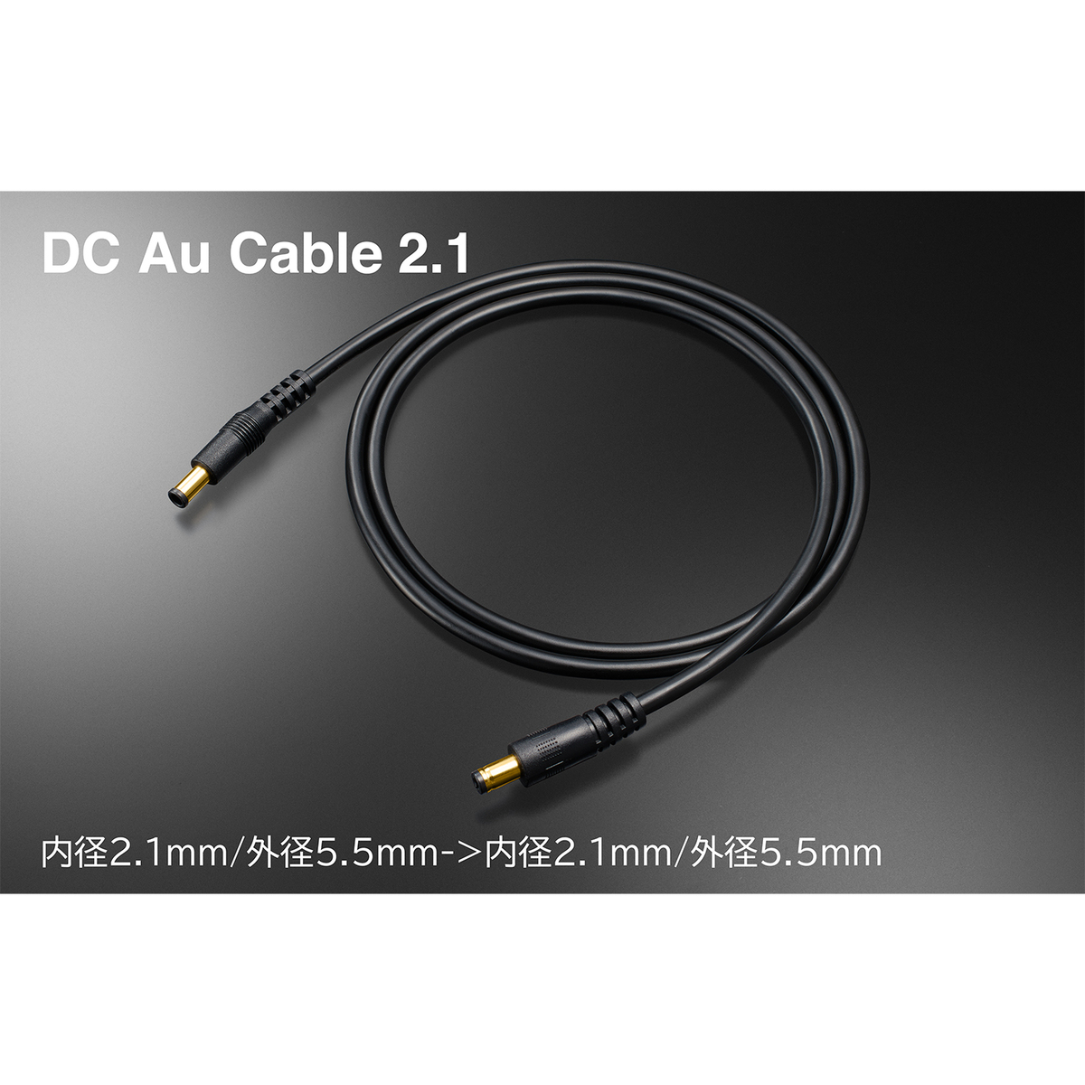 DC Au Cable 2.1