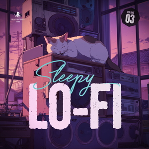 Sleepy Lo-Fi Vol 3
