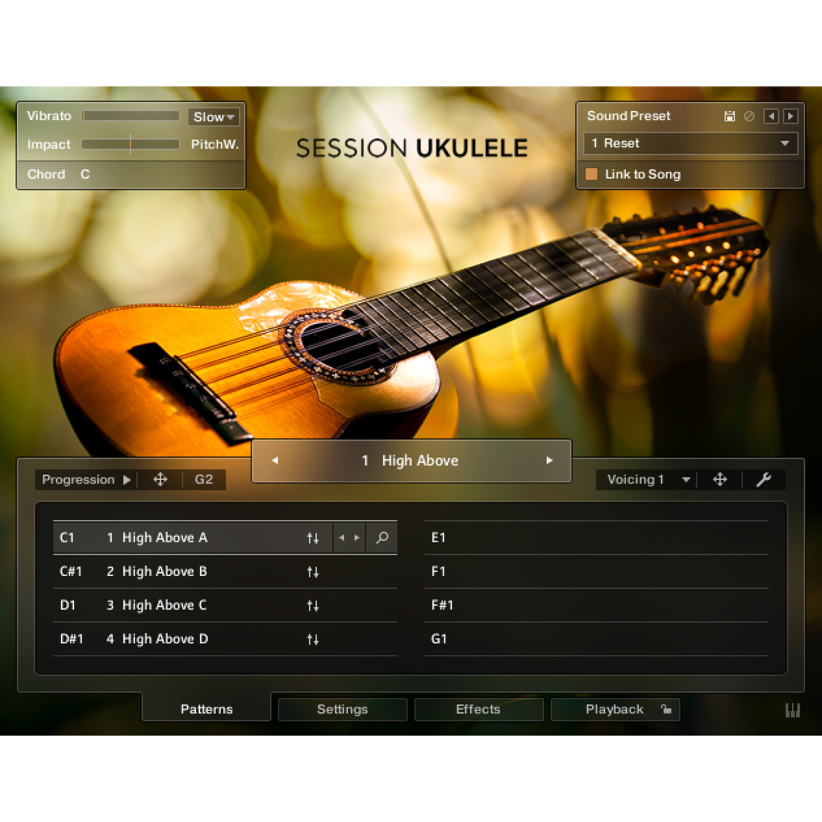 Session Ukulele