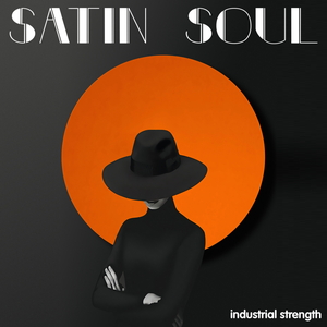 Satin Soul