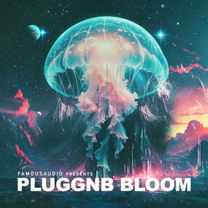 PluggnB Bloom