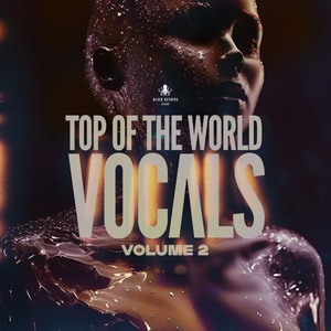 Top Of The World Vocals Vol 2