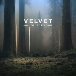 Velvet Guitars