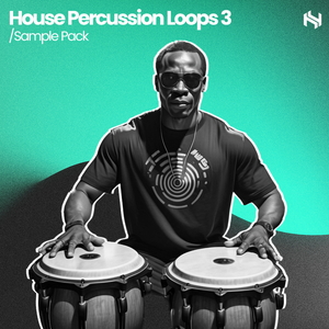 ELEMENTS - House Percussion Loops 3