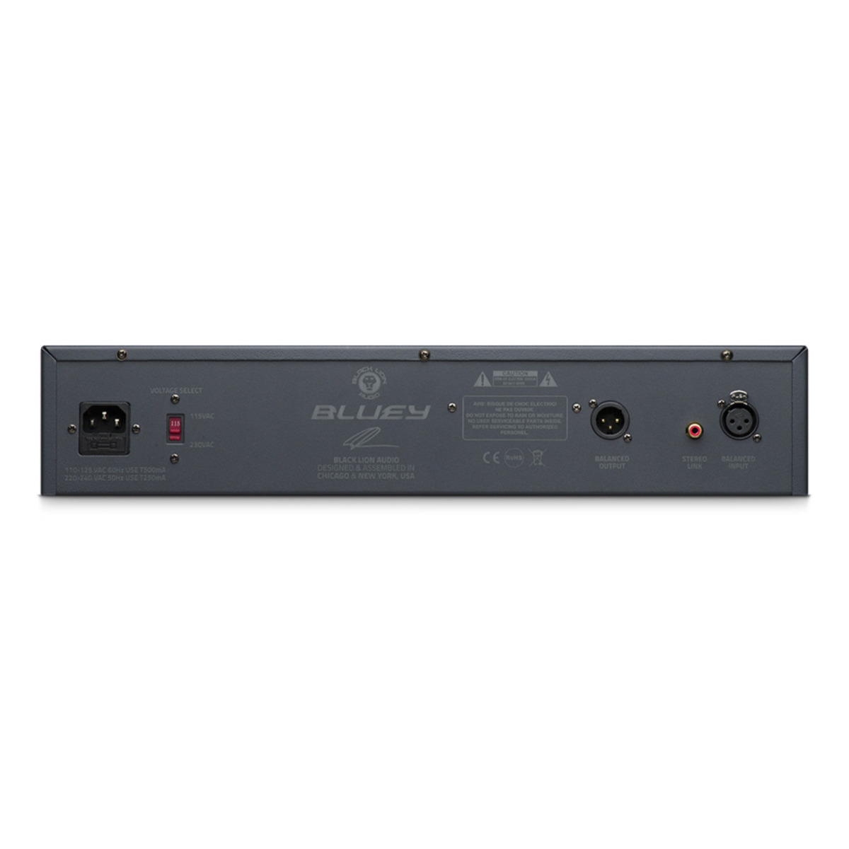 BLUEY アウトレット品