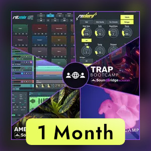 SoundBridge Everything Bundle (1 Month)