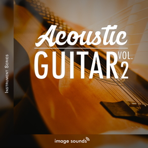 ACOUSTIC GUITAR 2