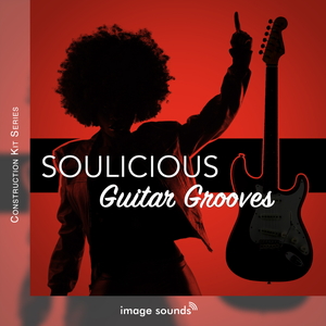 SOULICIOUS GUITAR GROOVES 1