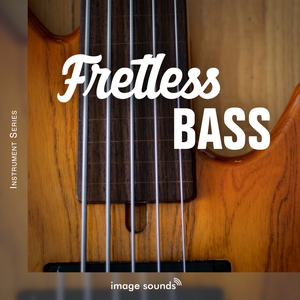 FRETLESS BASS 1