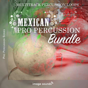 Mexican Pro Percussion Bundle