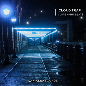 Cloud Trap & Late Night Beats