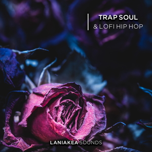 Trap Soul & Lofi Hip Hop