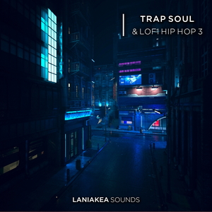 Trap Soul & Lofi Hip Hop 3
