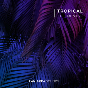 Tropical Elements
