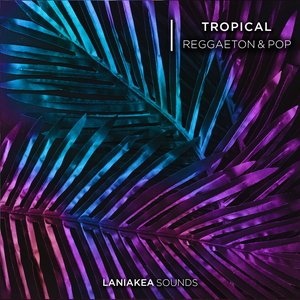 Tropical Reggaeton & Pop