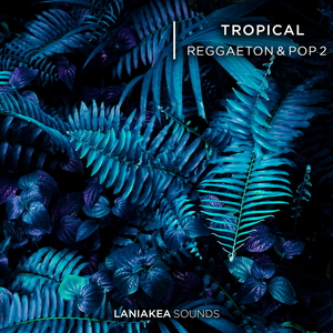 Tropical Reggaeton & Pop 2