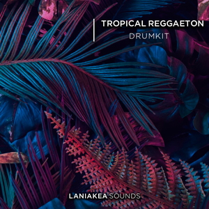Tropical Reggaeton Drum Kit
