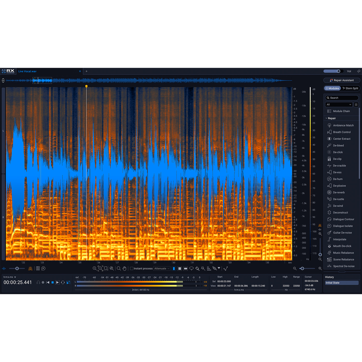 RX 12 Standard クロスグレード版【対象：いずれかのiZotope製品(無償製品を除く)をお持ちの方】