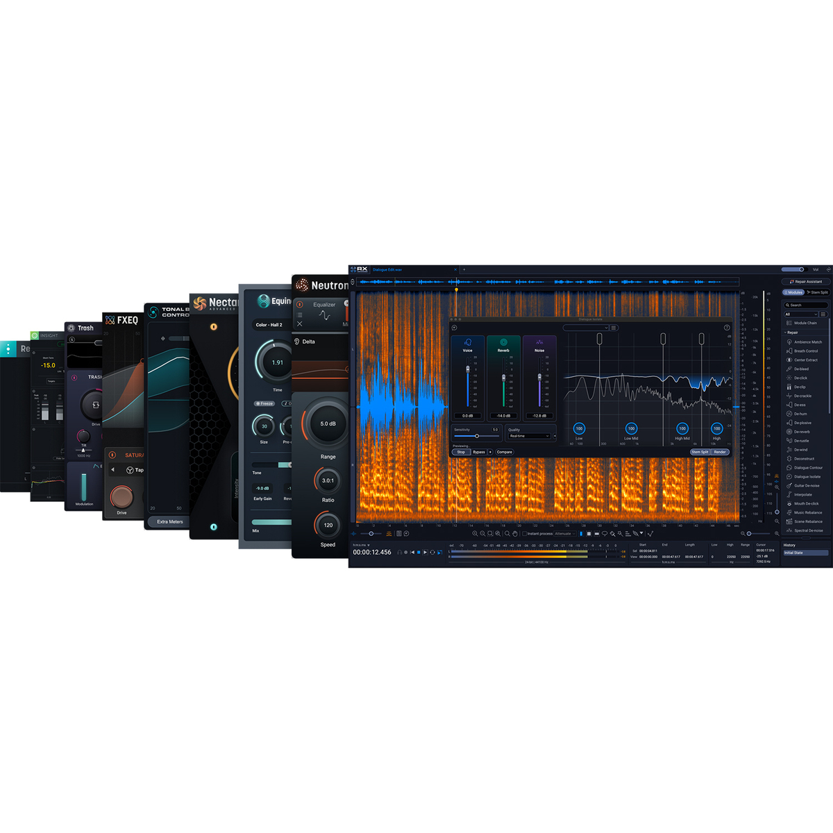 RX Post Production Suite 9 クロスグレード版【対象：RX 12 Advancedをお持ちの方】