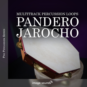 Pandeiro Jarocho