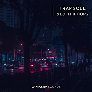 Trap Soul & Lofi Hip Hop 2
