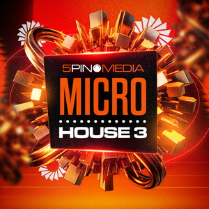 5Pin Media - Micro House 3