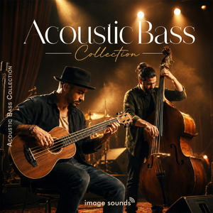 Acoustic Bass Collection
