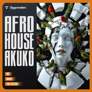 Afro House Akuko