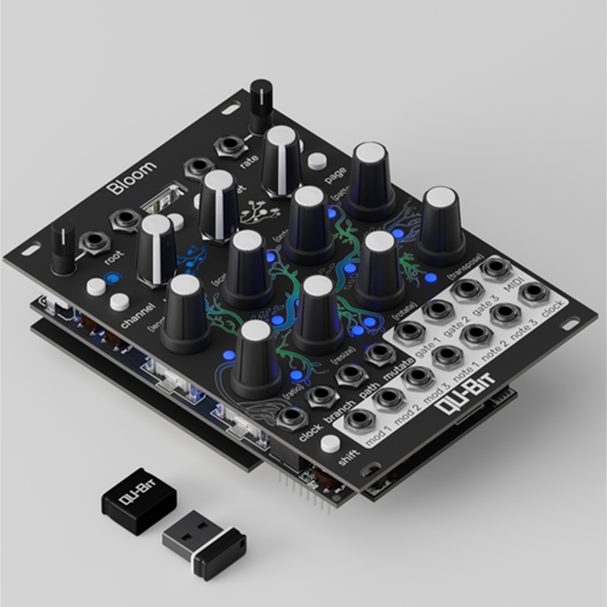 Bloom v2 開封デモ使用B級品