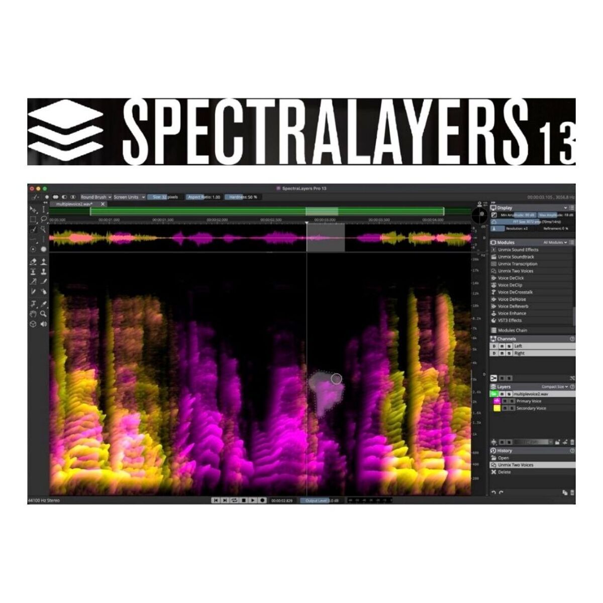SpectraLayers Pro 13 Retail