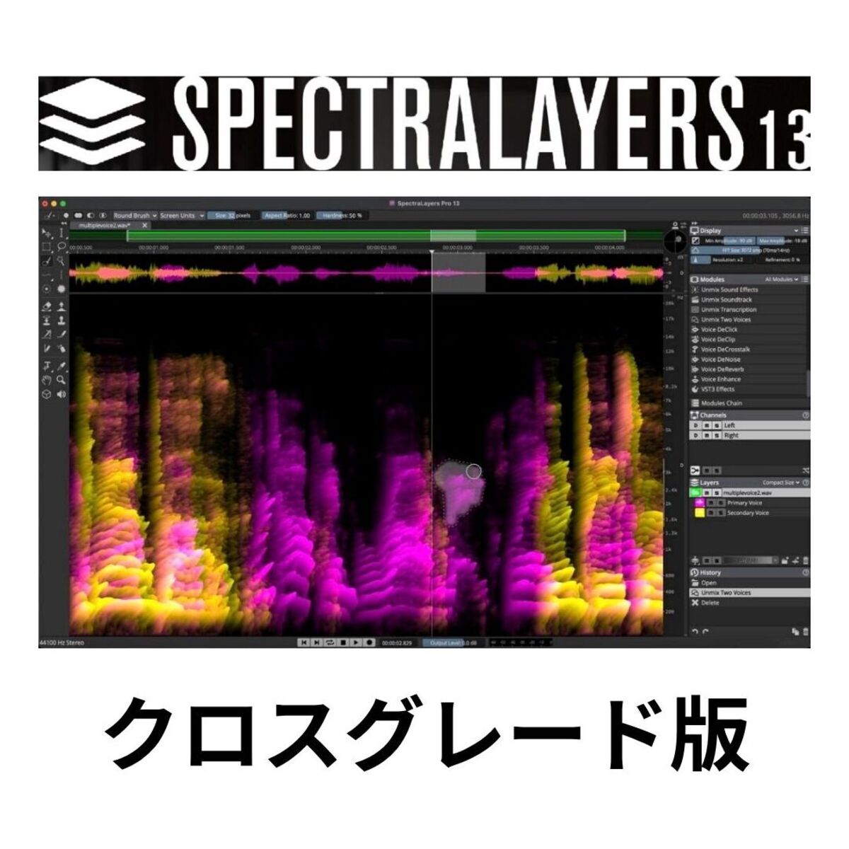SpectraLayers Pro 13 Comp CG