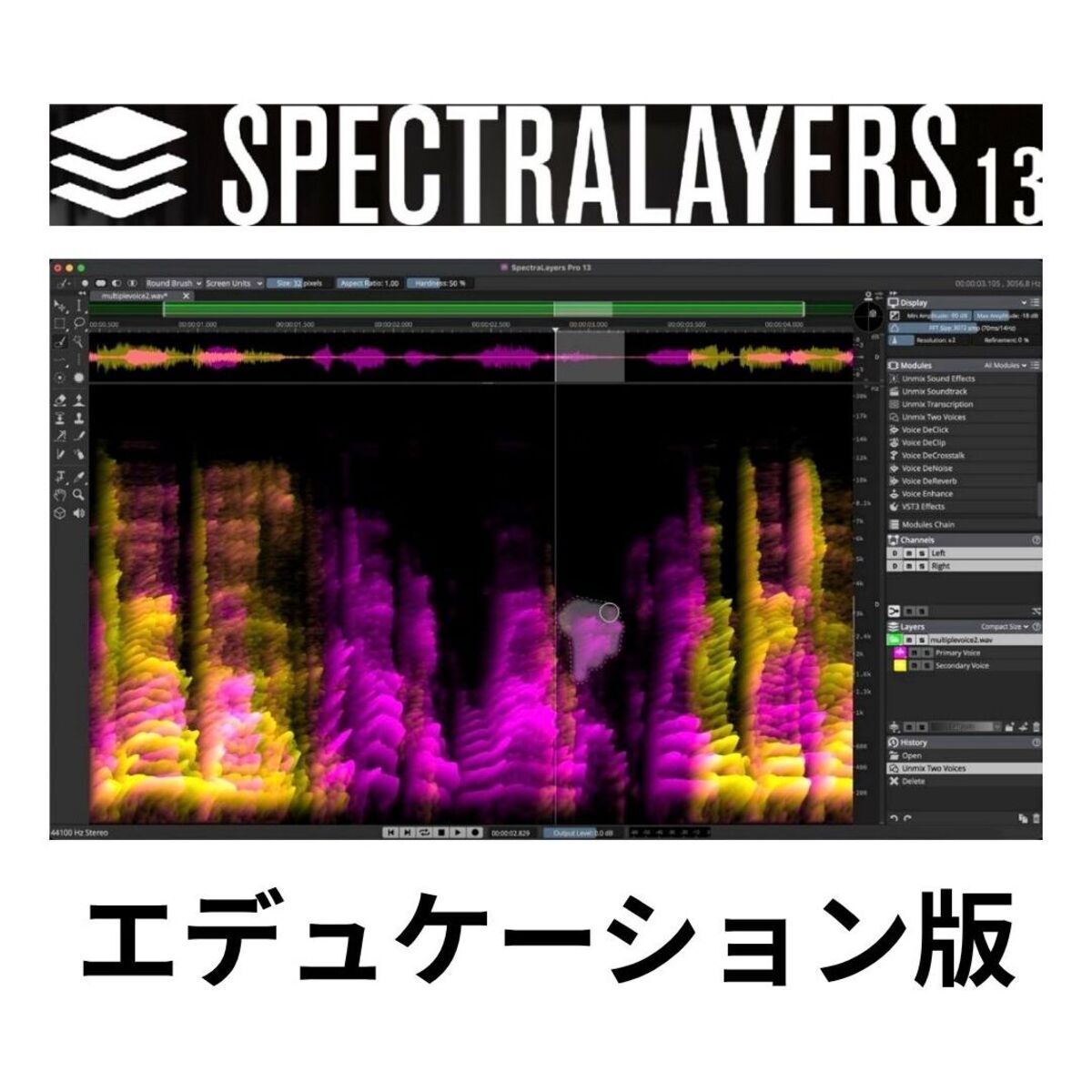 SpectraLayers Pro 13 EDU
