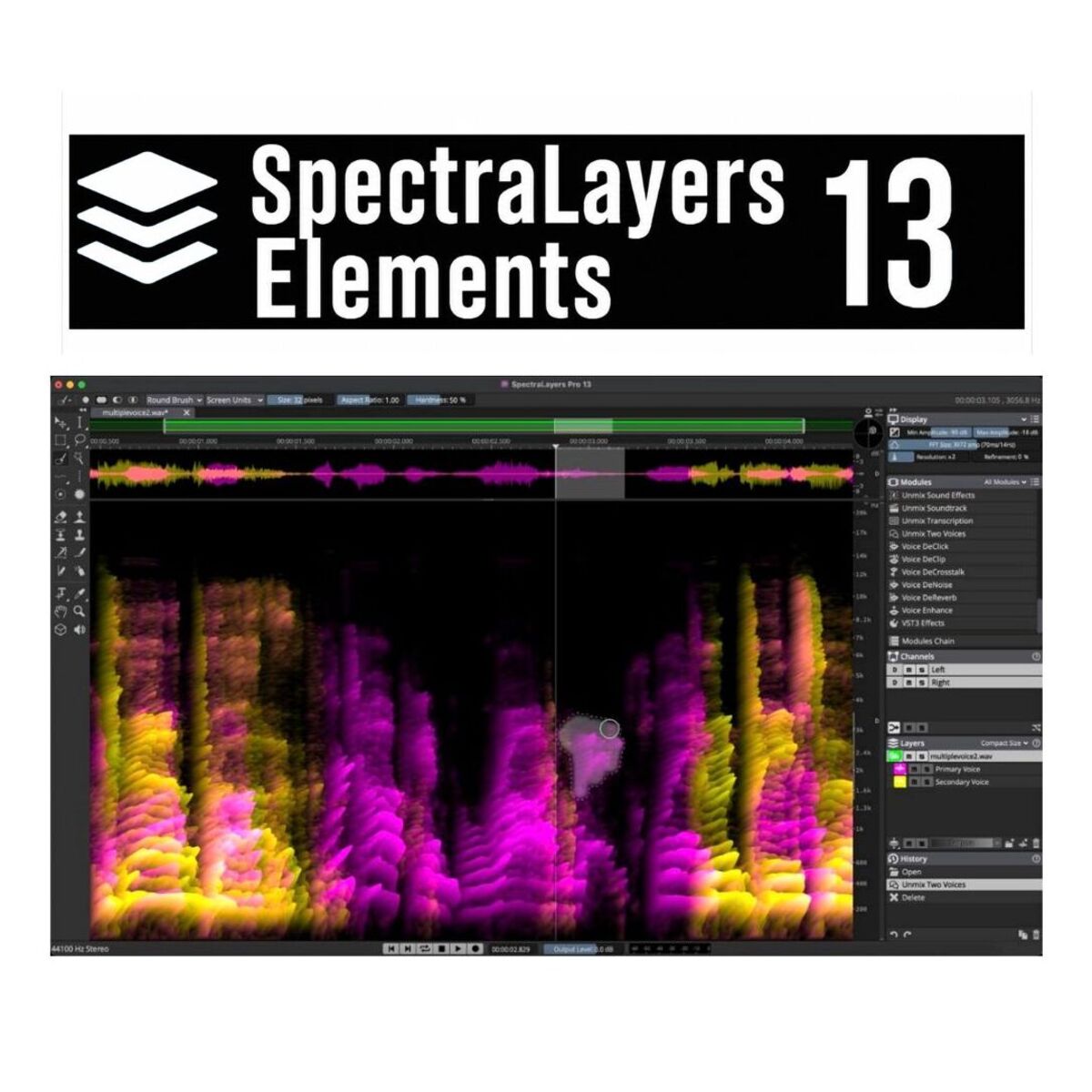 SpectraLayers Elements 13 Retail