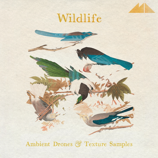 Wildlife