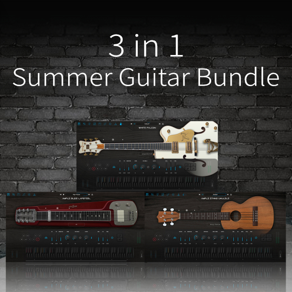 3-in-1 Summer Guitar Bundle