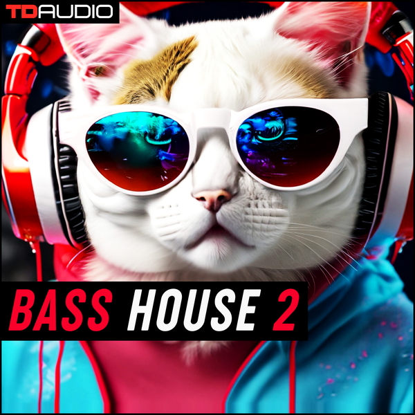 TD Audio - Bass House 2