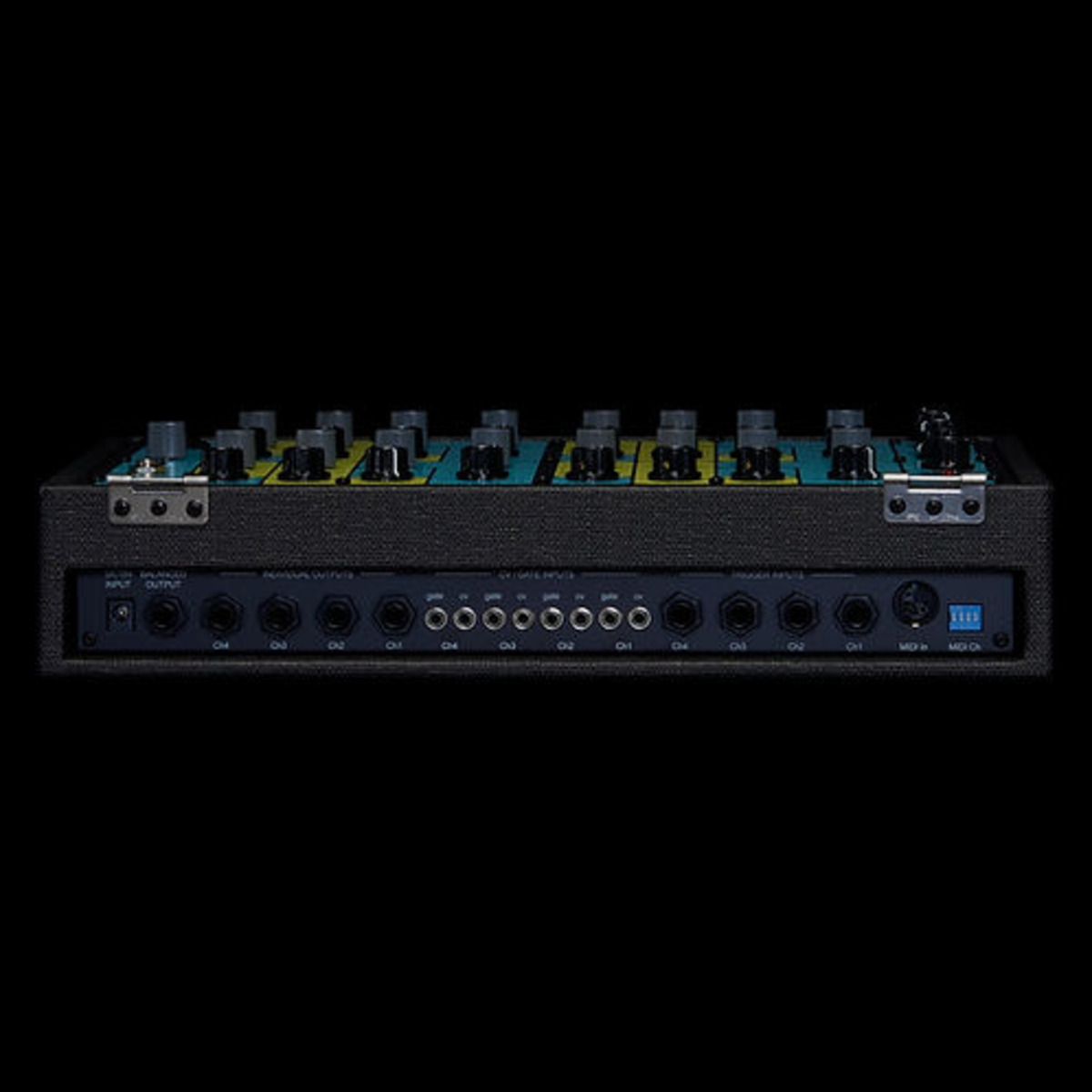 DS-4M CUSTOM with case