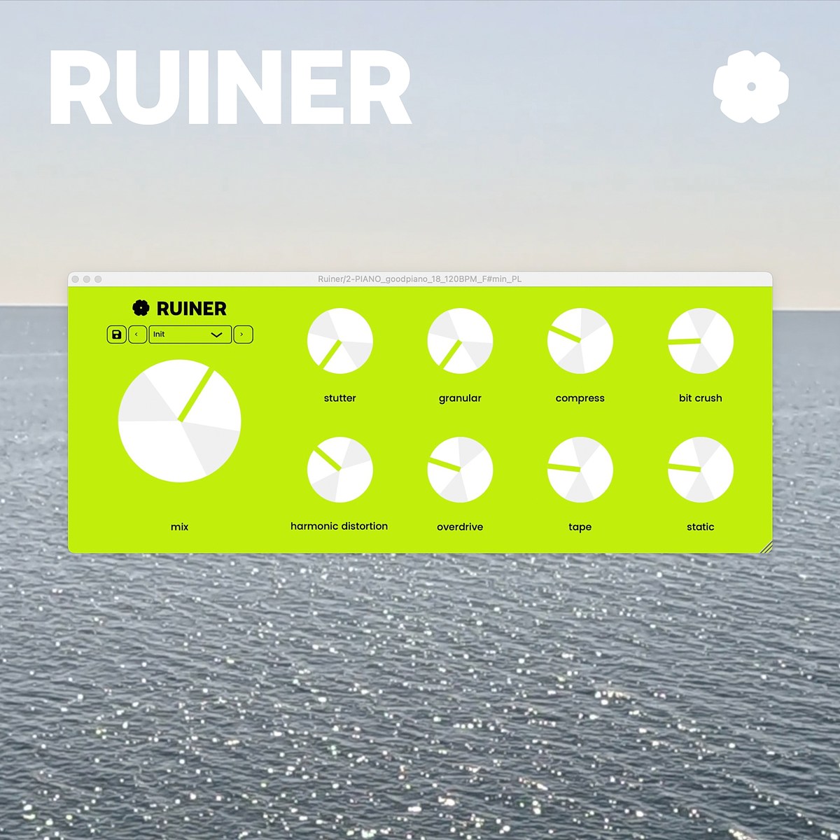 RUINER