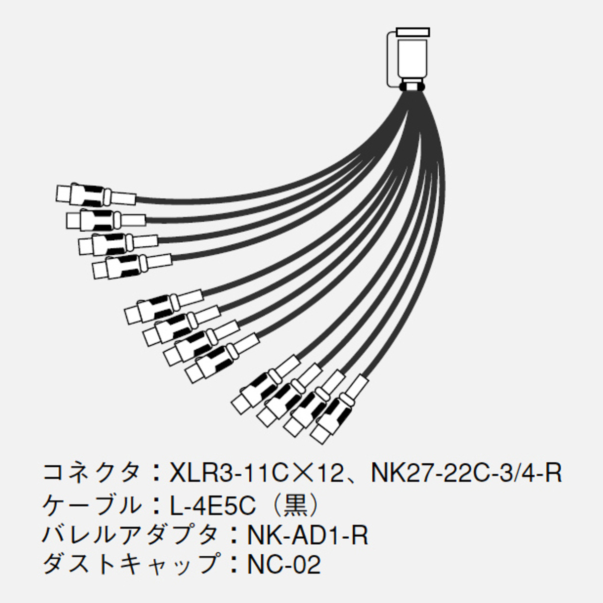 12S1N2（黒）