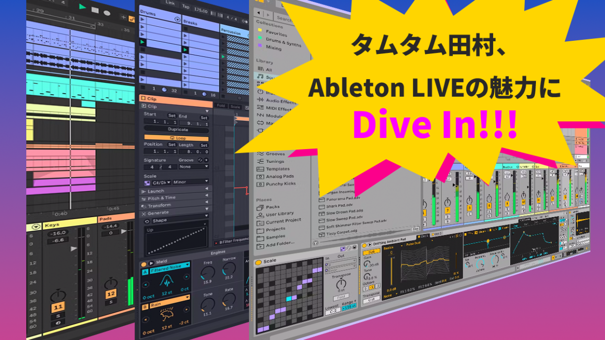 DAWレビューAbleton Live12を選んだ理由3選！