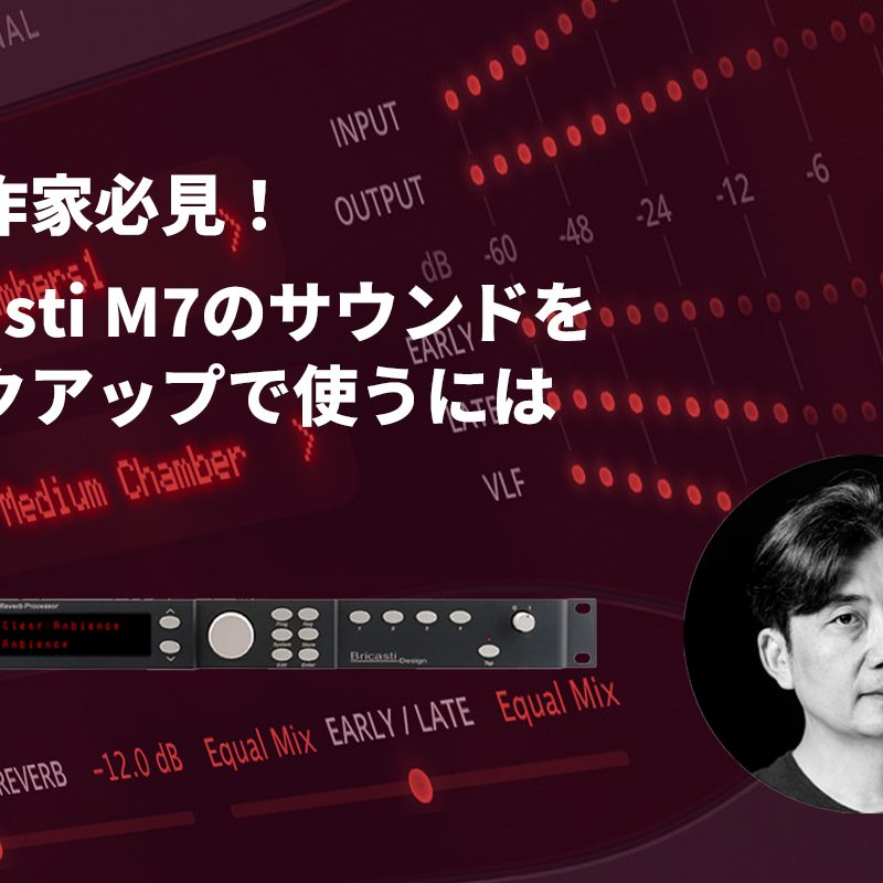 ビンテージEvans EP-250 アナログディレイ　スプリングリバーブ調整済 R*e様 EVANS Echopet EP-250 アナログディレイ スプリング