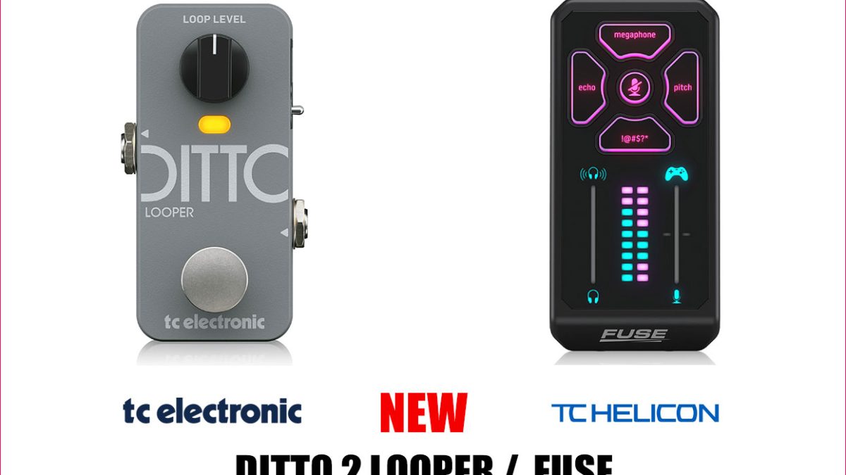 【機材整理祭！】その58 TC ELECTRONIC DITTO+ 機材整理祭！】その58 TC ELECTRONIC DITTO+