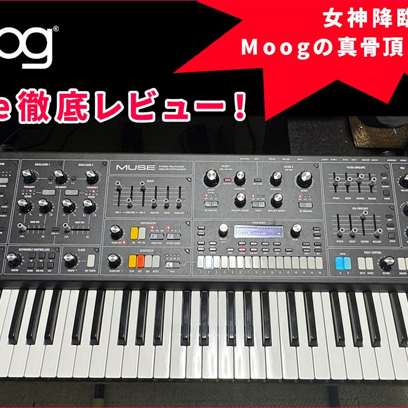 20250714_Moog_1244_800-2-