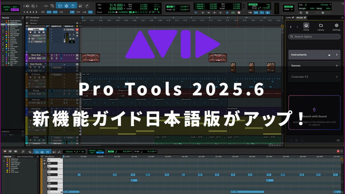 20250715_Avid_1244_800-1-